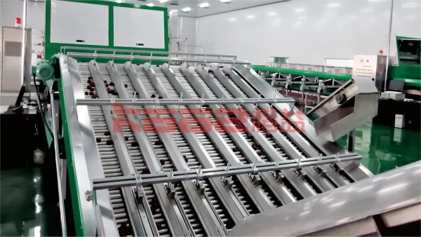 Sorting Machine - Image 2