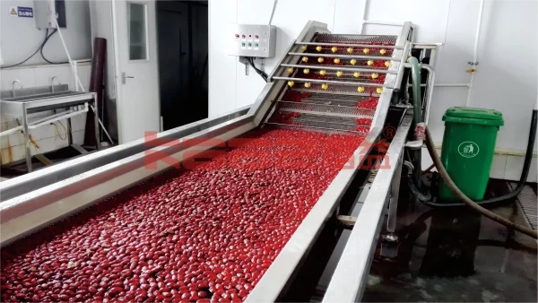 Dates Processing Line - Image 2