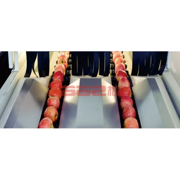 Sorting Machine