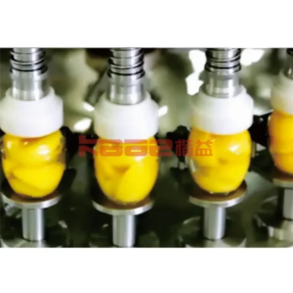 Canned Food Processing Line