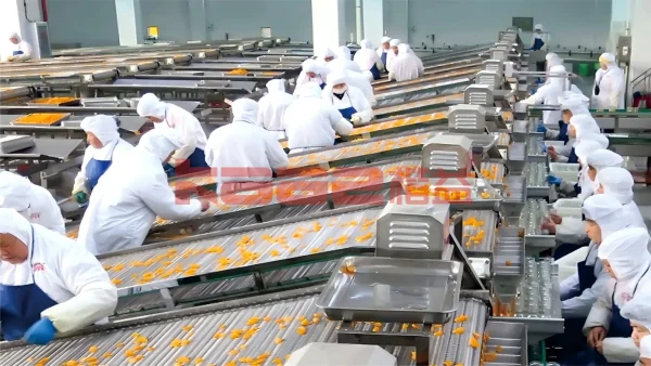 Canned Food Processing Line - Image 2