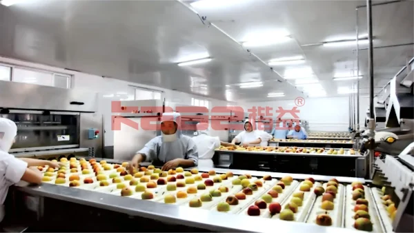 Canned Food Processing Line - Image 3