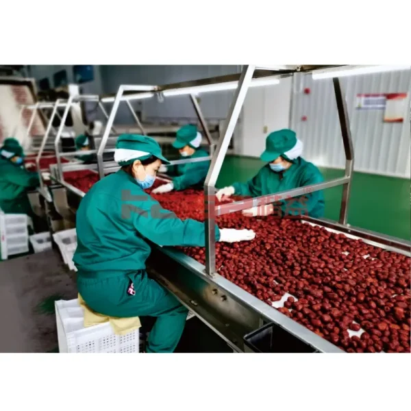Dates Processing Line