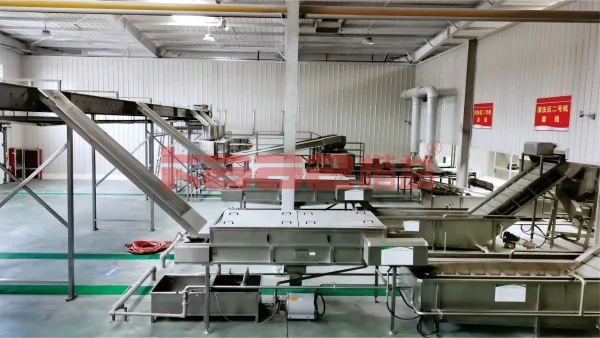 Ginger & Garlic Processing Line - Image 3