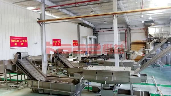 Ginger & Garlic Processing Line - Image 4