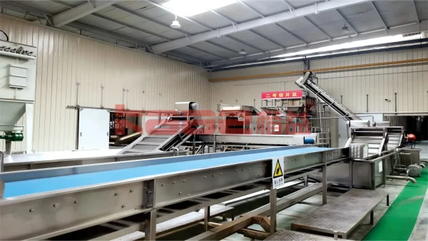Ginger & Garlic Processing Line - Image 5